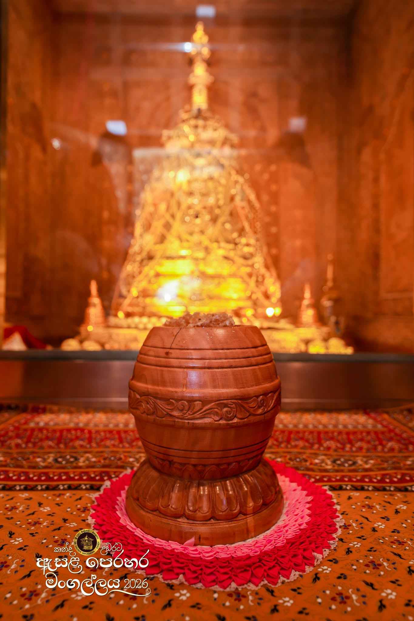 ආදිවාසි ඇත්තෝ දළදා සමිඳුන්ට මී පැණි පූජා කරති.
