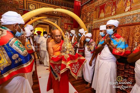 Indiraja, the ceremonial tusker rich with seven earth touching points & a majestic look carried the Relic Casket with Burumaraja & Miyanraja on this 3rd Kumbal Procession.